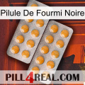 Black Ant Pill levitra2